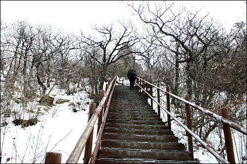 치악산 정상인 비로봉 오르는 계단입니다. 